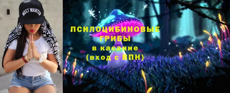 blacksprut ссылка  хочу   Семикаракорск  Галлюциногенные грибы Cubensis 